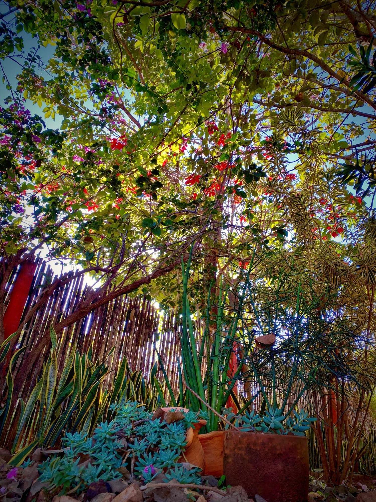 Pousada Jardim De Minas Serra do Cipo National Park エクステリア 写真